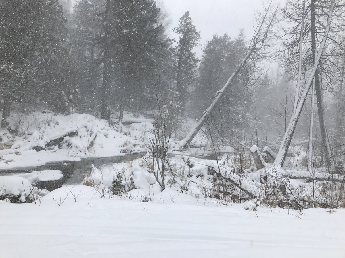 Arlene Robinson tweet media