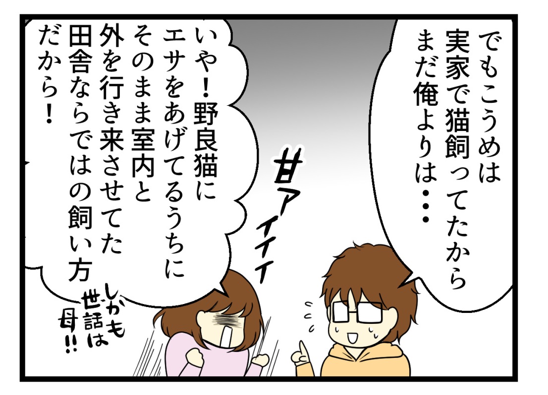 猫探し編②-我が家の猫飼いスペックと不安 #漫画が読めるハッシュタグ #保護猫さんと暮らす #猫のいる生活