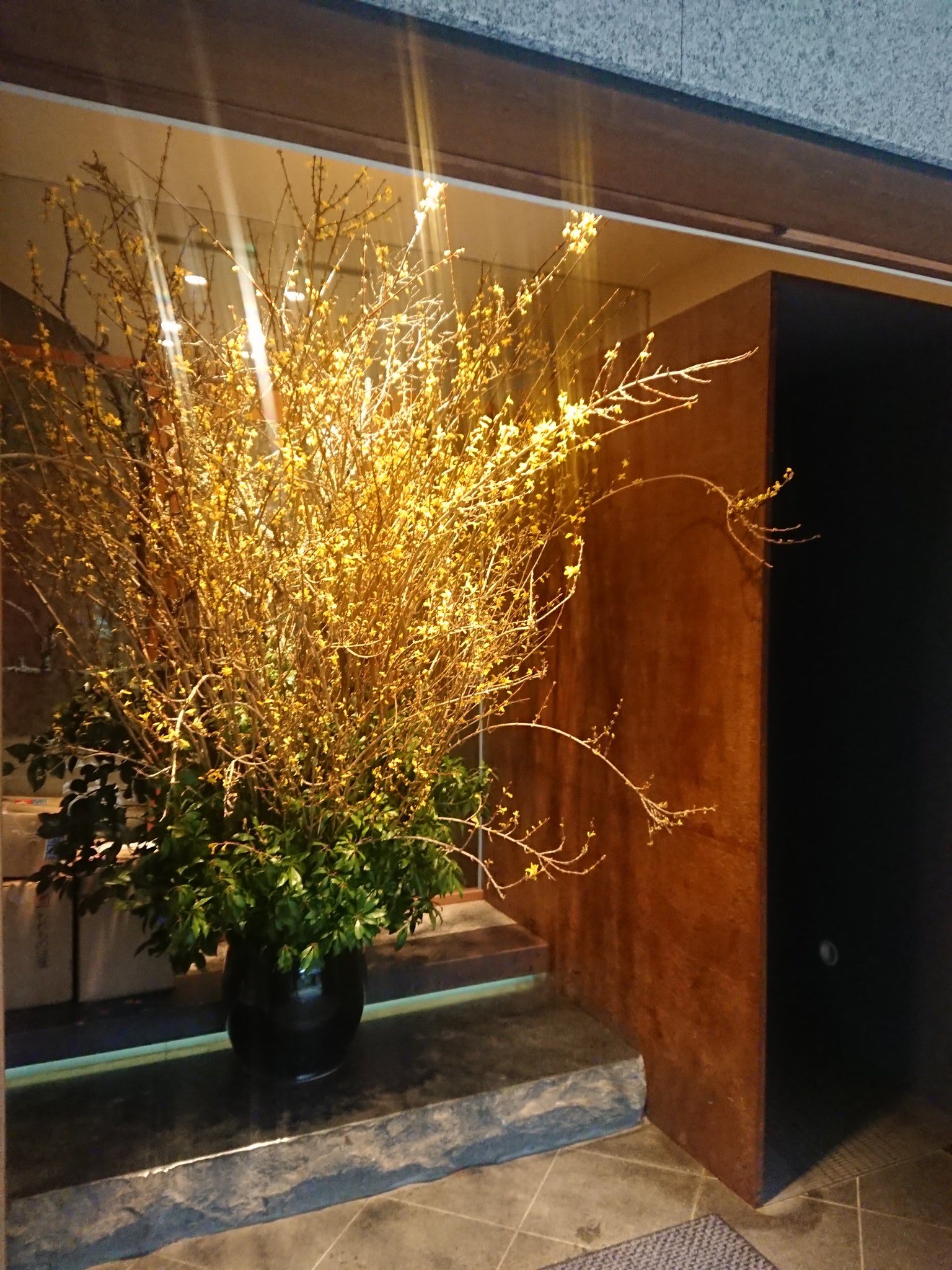 はなしょくにん 粋 丸新様の生けこみ 黄色い花がキレイなレンギョウです 日持ちもとても良いんですよね はなしょくにん 花屋 郡山 郡山市駅前 フラワー Flowershop レンギョウ 生けこみ 懐石 丸新 T Co Qlufjhhzcl T Co はなしょくにん 粋 丸新様の生けこみ 黄色い花がキレイなレンギョウです 日持ちもとても良いんですよね はなしょくにん 花屋 郡山 郡山市駅前 フラワー Flowershop レンギョウ 生けこみ 懐石 丸新 T Co Qlufjhhzcl T Co