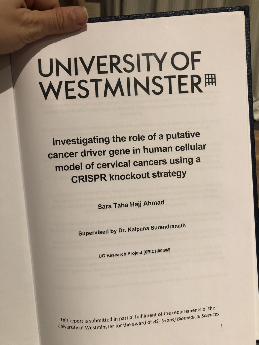 sara taha hajj ahmad tweet media