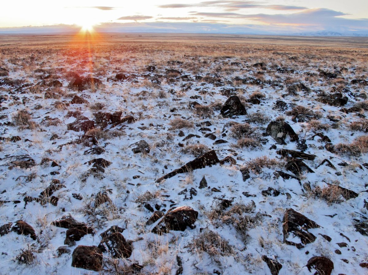 jessealaney's tweet photo. I'm really digging Oregon Natural Desert Association's new story map, which features some of my photography. Check out “Greater Hart-Sheldon: Sagebrush Stronghold” for an immersive dive into the Sagebrush Sea. #GreaterHartSheldon #TheLandBetween LINK: https://t.co/LcSIsXhpxM https://t.co/TtV2UU20N4
