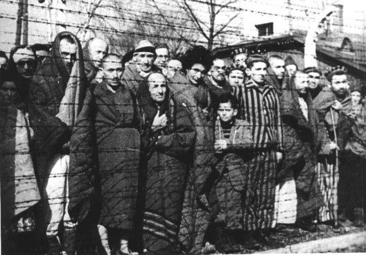 claudeposternak's tweet image. Le 27 janvier 1945 : les troupes soviétiques découvrent le camp d'extermination d'Auschwitz-Birkenau herodote.net/27_janvier_194…
 @chaussisfamily #soc