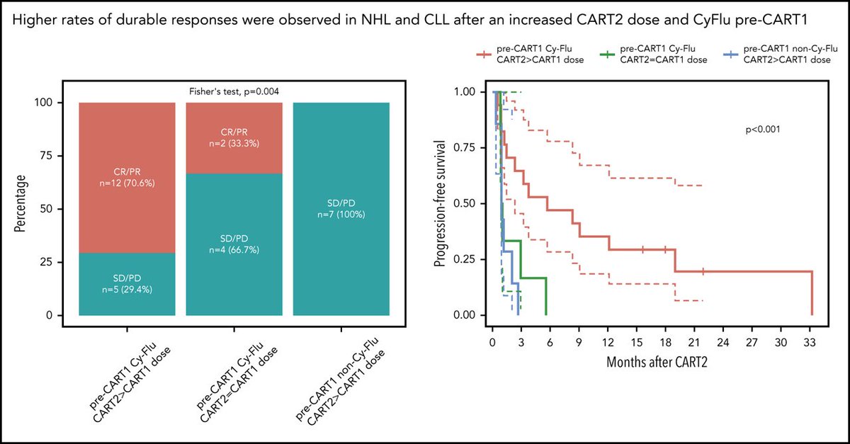 The "Take home" messages...Second infusions of CD19 CAR T cells:- Feasible and safe- Efficacious in a subset of CLL and NHL patients- CyFlu prior to CART1 and higher CART2 dose associated with robust in vivo CAR T-cell kinetics and superior outcomes 18/24
