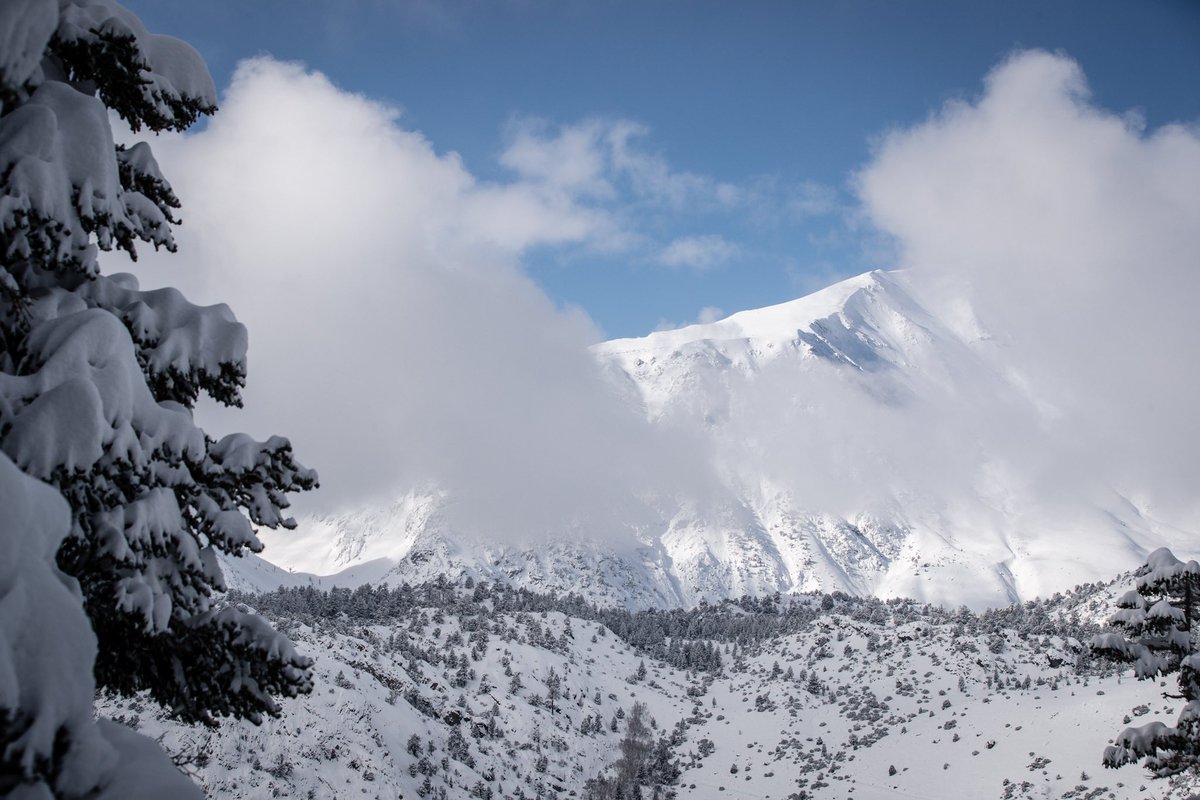 June Mountain tweet media