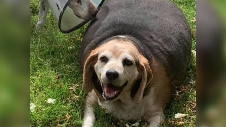 See Junya S Tweet Twitter