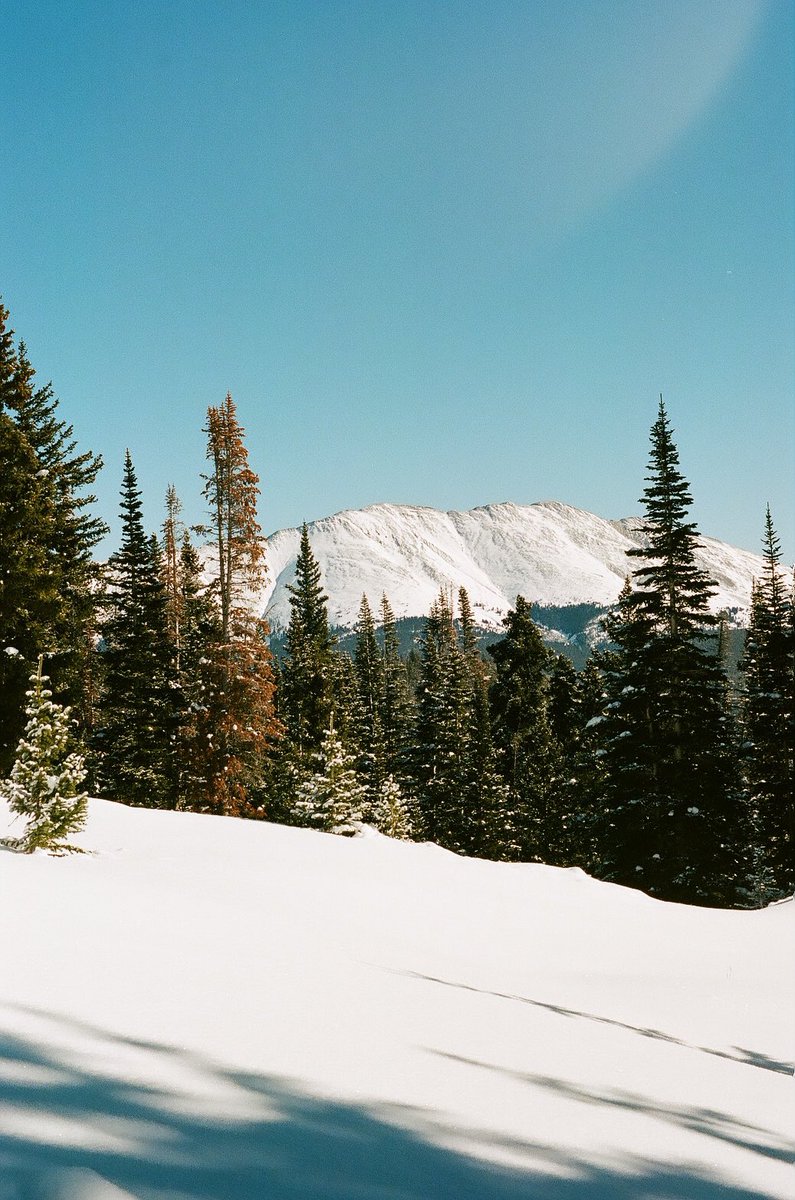 fitchmichaelt's tweet photo. recently i went up into the mountains and shot my very first roll of #35mm on #portra400 https://t.co/VbmsBvLeJn