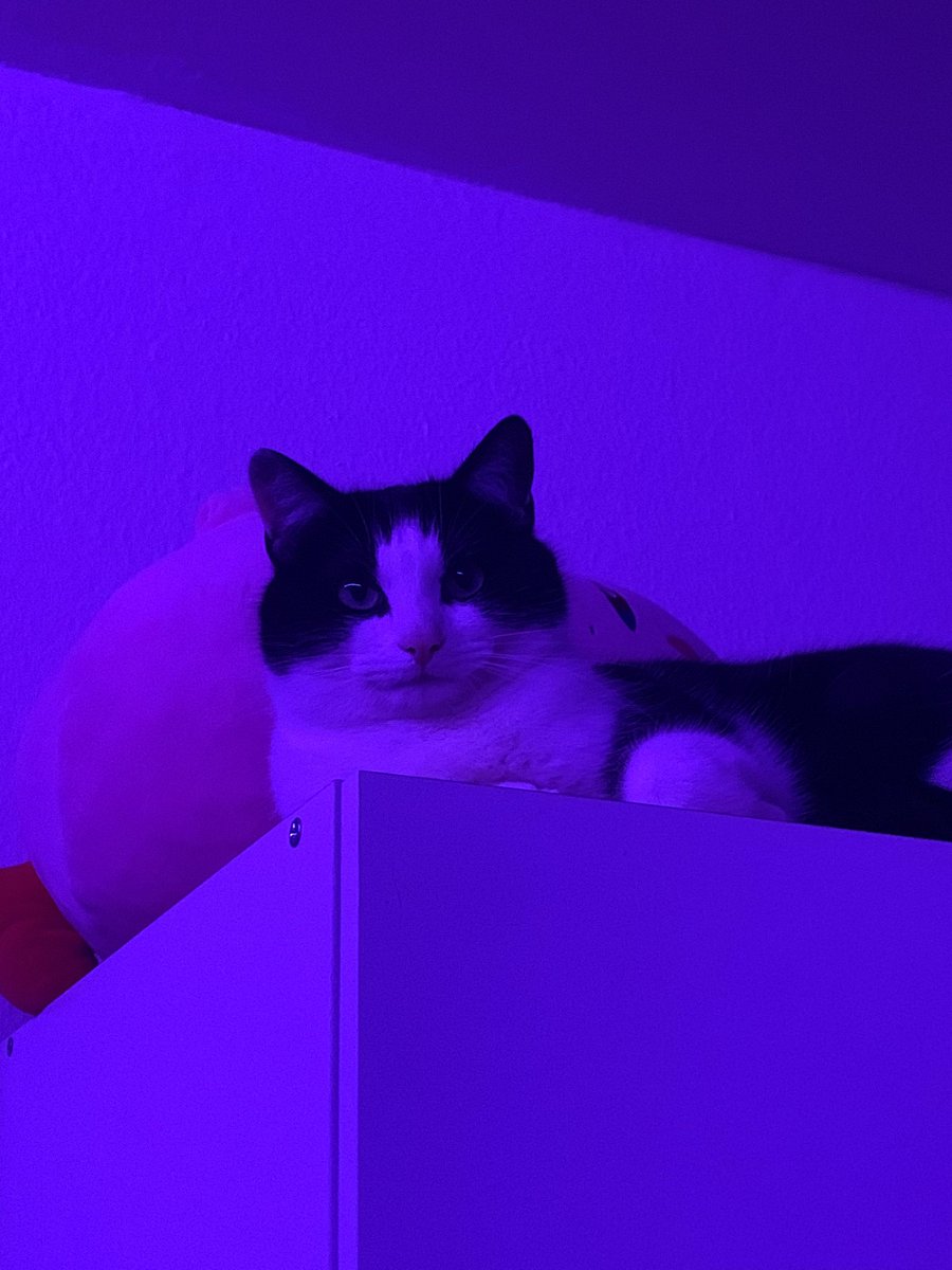 Bisschen rumliegen dies das