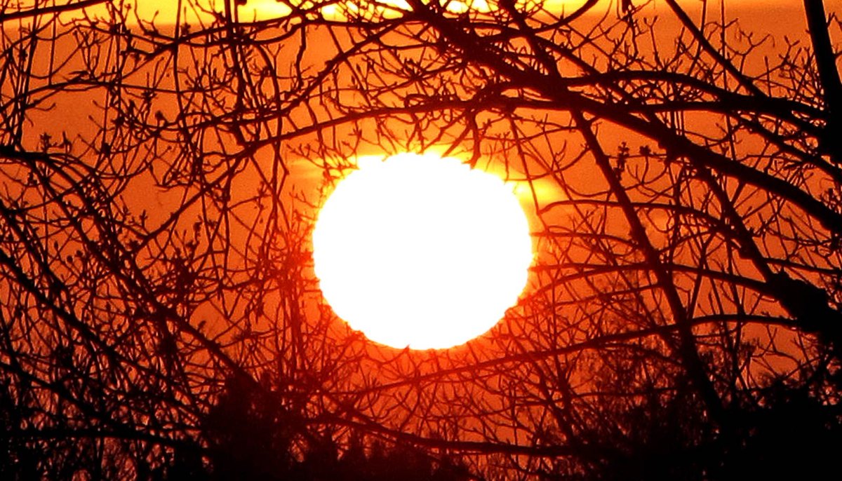 Грустное красное солнце. Наталья гулькина солнце горит 1989. Загорелось солнце в далеке рассвет. Солнце не горящее. Солнце от земли располагается.