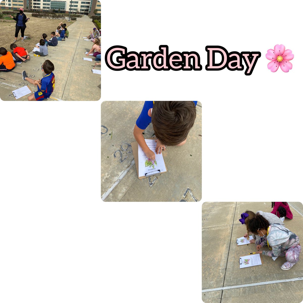 Such a beautiful day <a href="/CFISDWells/">Wells Elementary</a> to learn about our garden 🍀#ExploreWells <a href="/forside_teacher/">Shayvonne</a> 🌼