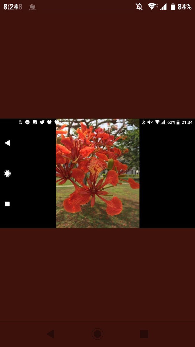 <a href="/plesiosaurio72/">plesiosaurio</a> <a href="/koji18now/">koji</a> <a href="/kk296344/">ٶ١ڼ٩٩ع٦ kamalٶ1ڼ99ع6</a> <a href="/Sun_Flower119/">葵ちゃん 通知不具合中</a> <a href="/game_inspirata/">ゲーム星人インスピレータ</a> <a href="/fredykoglin/">𝓕𝓻𝓮𝓭𝔂 𝓚𝓸𝓰𝓵𝓲𝓷 / Фреди Коглин 🕊</a> <a href="/universenme/">Universenme Peter C</a> <a href="/ddttserv/">Dedetizadora TSERV Franquia</a> <a href="/ElNumeroUnoRey/">El papá de Reina ♥️</a> <a href="/VICMARVG/">VICMARVG // VICENTE VARGAS A.</a> <a href="/YOeartHeart/">🌊🌊WALKINGlight🌊🌊</a> <a href="/VivMilano/">Viv Milano</a> @august_resort @aLi_Says_SUN <a href="/tiopaulao2015/">Paulo Henrique Pereira</a> <a href="/T33455667Martin/">💙Martin💙</a> <a href="/RogerGilbertLaw/">Roger Gilbert</a> <a href="/Vanesa951011/">Vanesa K-POP 🎶</a> <a href="/napam_51/">napam 51 ITALEXIT</a> <a href="/Marcela72571846/">Marcela 😀🎸🐒⛱🤗🐩</a> <a href="/runrok/">D@NIEL @. RIVERO CR.</a> <a href="/dateeizi/">伊達英二📷🐕</a> <a href="/Rajendr76194898/">яąj ѵąя๓ą11372जहाँमे प्यारा है (मोदी का परिवार )</a> <a href="/Joaquim_Kinkas/">Joca A Alves</a> <a href="/black1next/">優夢</a> <a href="/kpizzu1/">k-pizzu. Doncavalli</a> <a href="/NioaAnto/">Antonio un amigo incondicional para todos usted</a> <a href="/Queennastasha/">Kassen 🦦</a> <a href="/WExperience1/">Wildlife Experience1</a> <a href="/guiller25136814/">Guille 39K #Csi N Y.</a> <a href="/Jitski43Kenneth/">Kenneth Anderson</a> @Jay1Maz @Enrique20Cov <a href="/DidiMohd/">Didi</a> <a href="/RiCHi/">Richi Jennings @richi.bsky.social / @richi@vmst.io</a> <a href="/JimenezBern/">Bernie Jimenez</a> <a href="/sarnihkm/">Hakim Sarni</a> <a href="/jmlpyt/">jmlpyt photography</a> <a href="/FLusoz/">Lusoz lusoz</a> <a href="/SandraGPaz/">SANDRA</a> <a href="/bbvoron/">Boris Voron</a> <a href="/VijaySh51563469/">Vijay Shukla</a> @Waltera27528025 <a href="/111zamsq/">MANSOUR</a> @RoaAnne2 @scratchinpete 国旗制定<北海三県>&amp;ハワイ仏桑花<異端鳥>(コッキセイテイ<ホッカイサンケン>&amp;ハワイブツソウゲ<いたんどり>)・新赤穂浪士新選組<新木曽三川>&amp;新ドミニカ鳳凰木<新北極熊>(シンアコウロウシシンセングミ<しんきそさんせん>&amp;シンドミニカホウオウボク<シンホッキョクグマ>)の日は１月２７日。