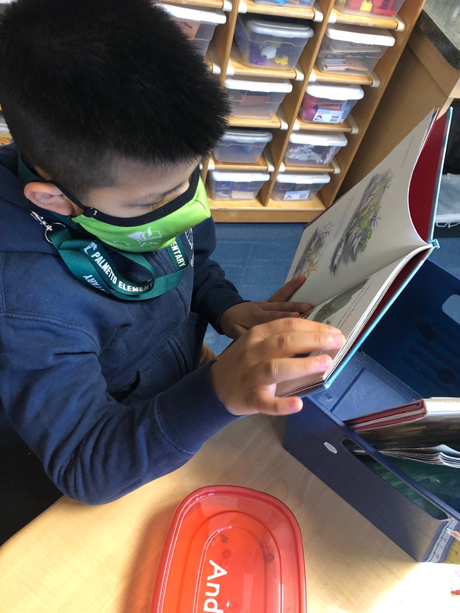 MsVolk3's tweet photo. We are enjoying literacy week so far! D.E.A.R. πππ₯³ππ #PLEgators #PLELiteracyWeek2021 https://t.co/Uh2qZ5kx6S