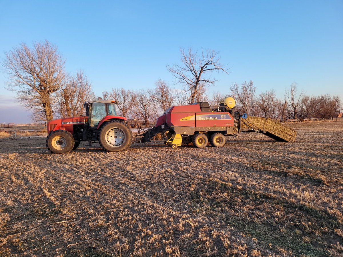 Gerrit Haarman tweet media