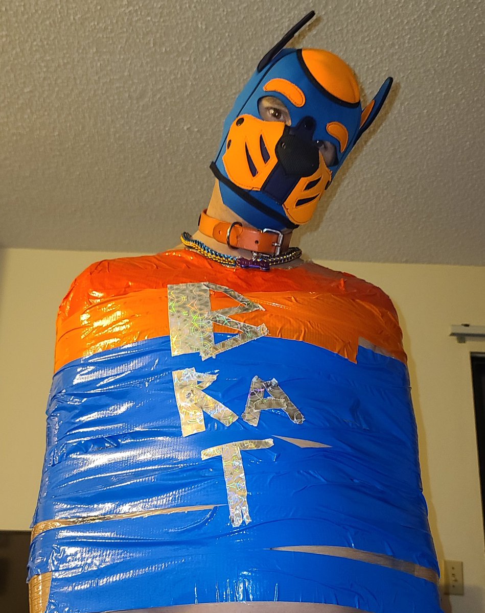 Puprokruff's tweet photo. Had to Duck tape him. Because he was being a brat. https://t.co/JdAIccr7kd