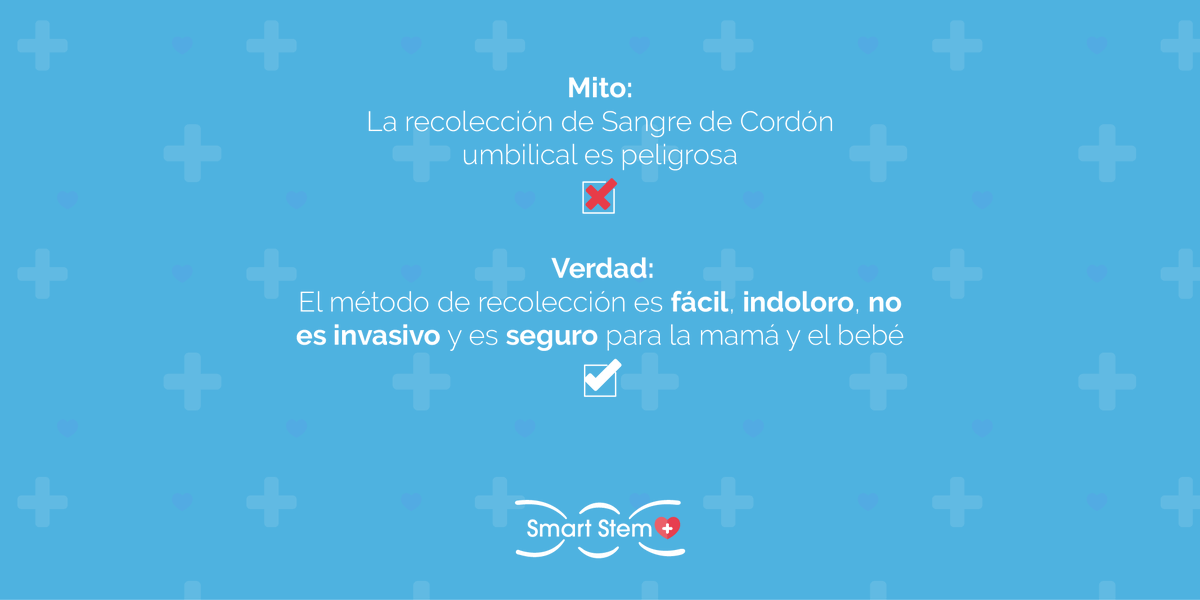 mysmartstemplus's tweet image. 𝐋𝐨 𝐥𝐞𝐨 𝐲 𝐧𝐨 𝐥𝐨 𝐜𝐫𝐞𝐨 😱⁣
 ⁣⁣
La recolección de la sangre del cordón umbilical y el uso de las células madre sigue siendo un tabú para muchos.  Queremos compartirte algunos mitos y verdades que te ayudarán a entender un poco más sobre este tema #celulasmadre⁣