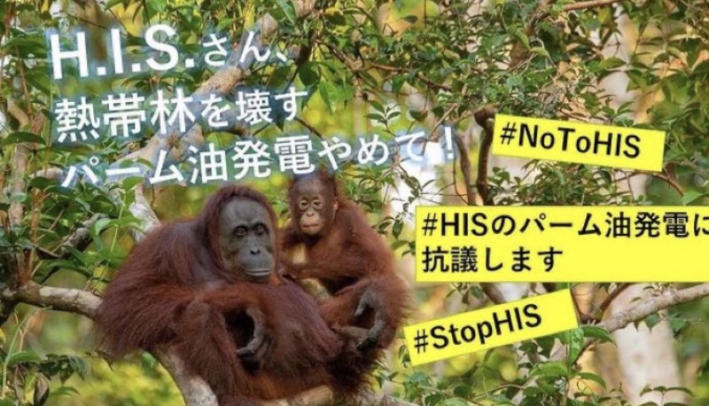 HUTANGroupJAPAN's tweet photo. #熱帯林破壊 と #気候危機 を加速化させるH.I.S.の #パーム油発電 に抗議します😠🌏🦧
#エイチアイエス さん、20万筆以上の #反対署名 の声を聞いて熱帯林を壊す #パーム油 #バイオマス発電 をやめて‼️
#HISのパーム油発電に抗議します
#stopHIS
#NoToHIS
@FoEJapan
@HUTANGroupJAPAN
@fffsendai https://t.co/yONydjgiNY
