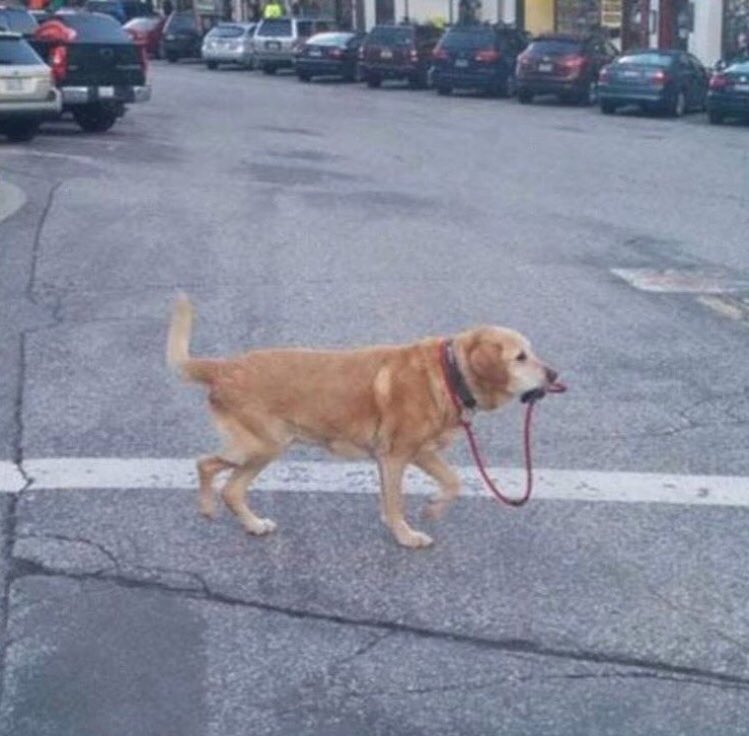 Teaching yourself a new protocol in a field you’ve never worked in before.