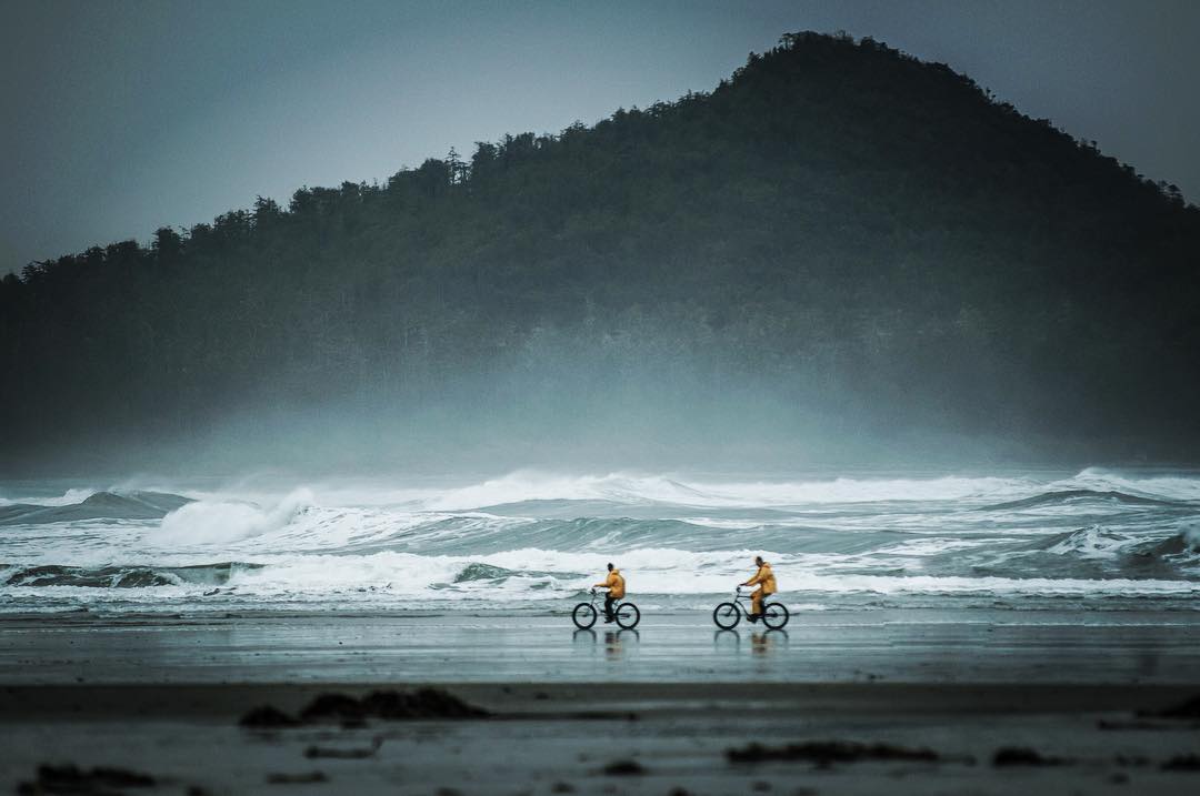 Tourism Tofino tweet media