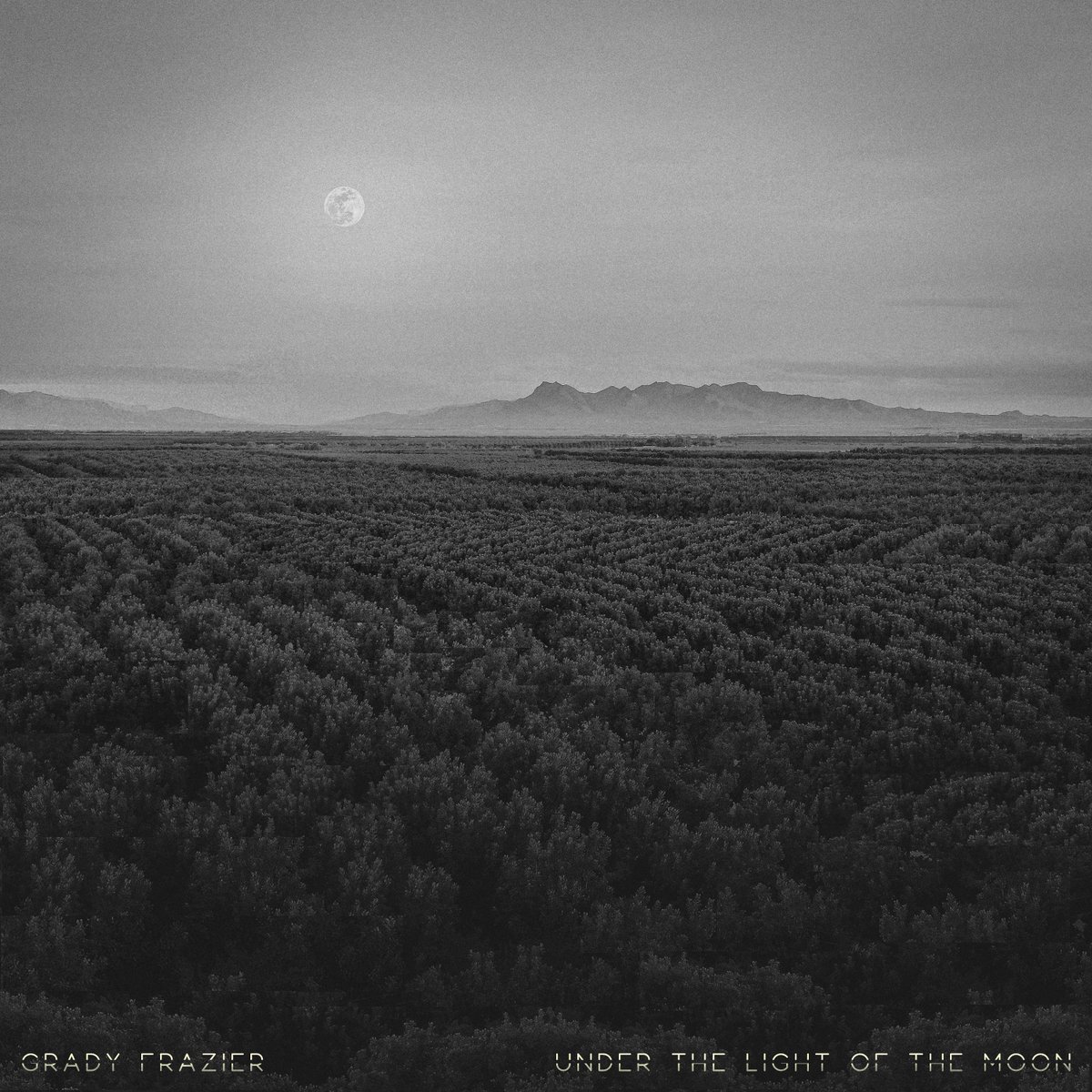 Listen #UnderTheLightOfTheMoon 1/29/2021🌕
Watch #UnderTheLightOfTheMoon 2/5/2021 🌗