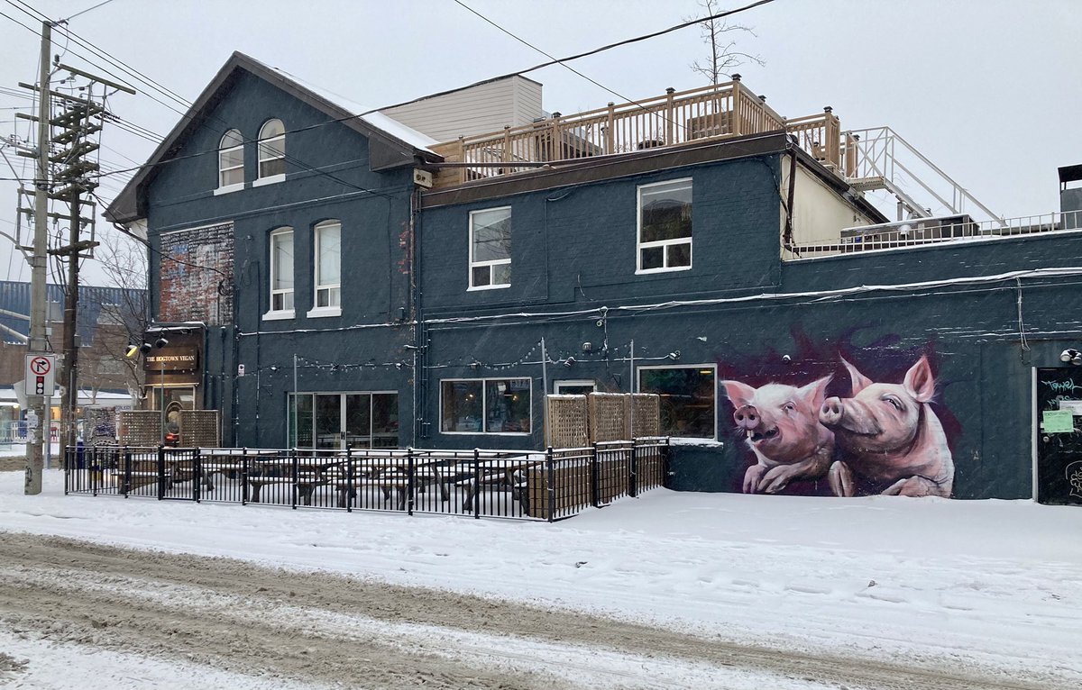 Spot the doggo. Then spot  @philford. ()