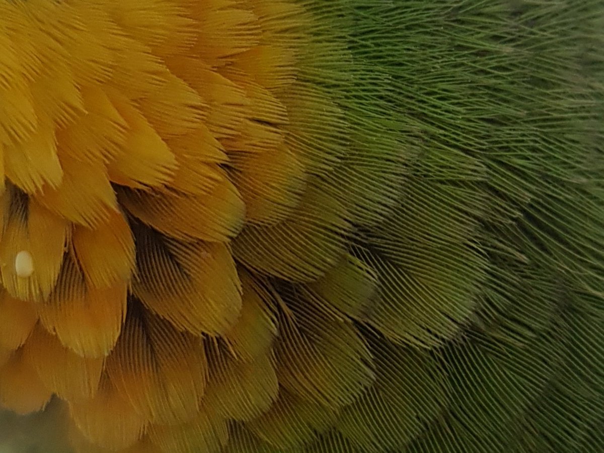 YORCH_AB's tweet photo. #EA26Ecuador apreciar, descubrir, entender y empatizar es parte de lo intangible que nos llevará a  la coexistencia entre el ser humano y la naturaleza https://t.co/S3gH09KFli