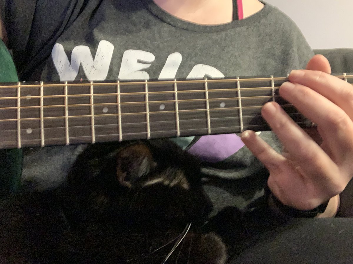 I don’t think this is how the good musicians do it. #music #CatsOfTwitter #guitar #tuesdaymotivations
