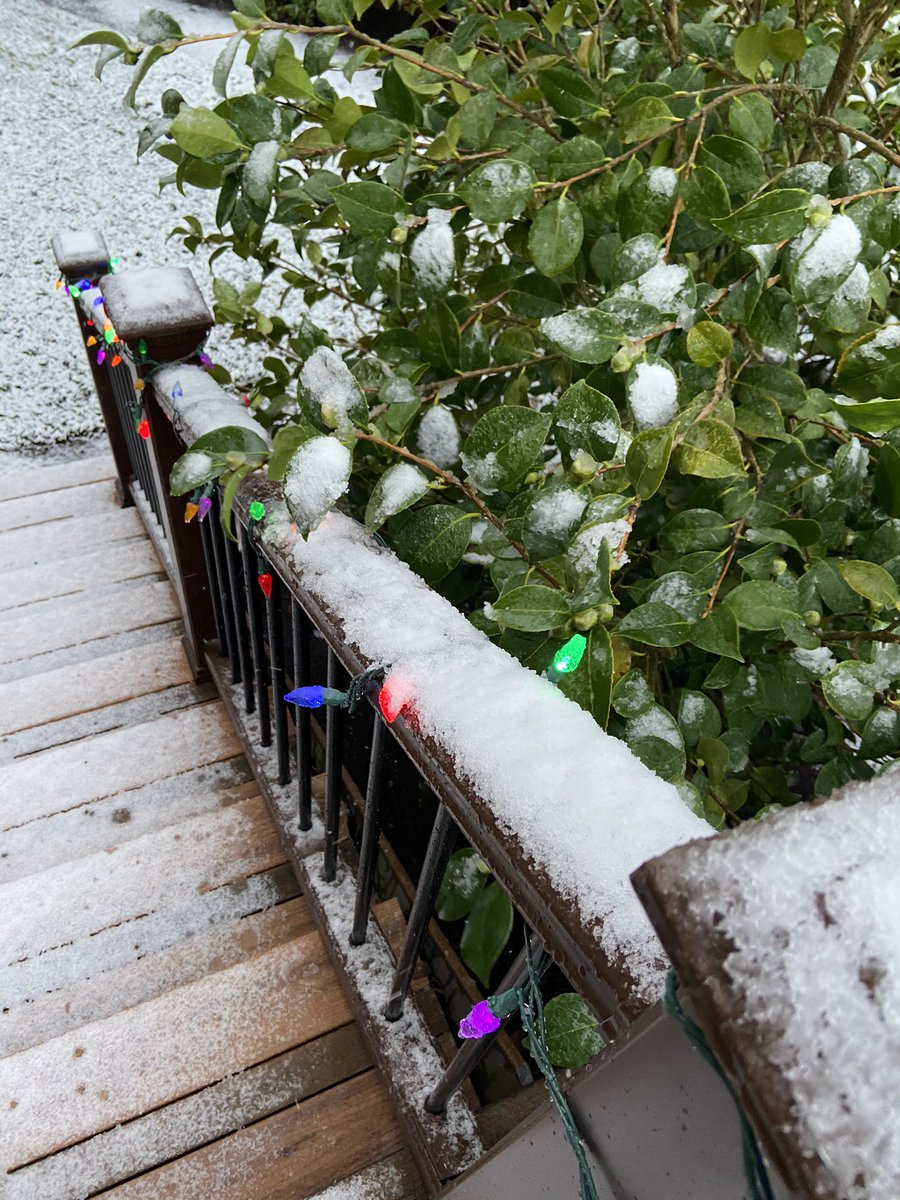 liannehy's tweet photo. Check out the difference 2hrs made!
#PQRobs #pdxtest @NWSPortland @WashCoScanner #CedarMill about 475 ft elevation 3/8” accum on table and railings https://t.co/Zf4pWaubEK