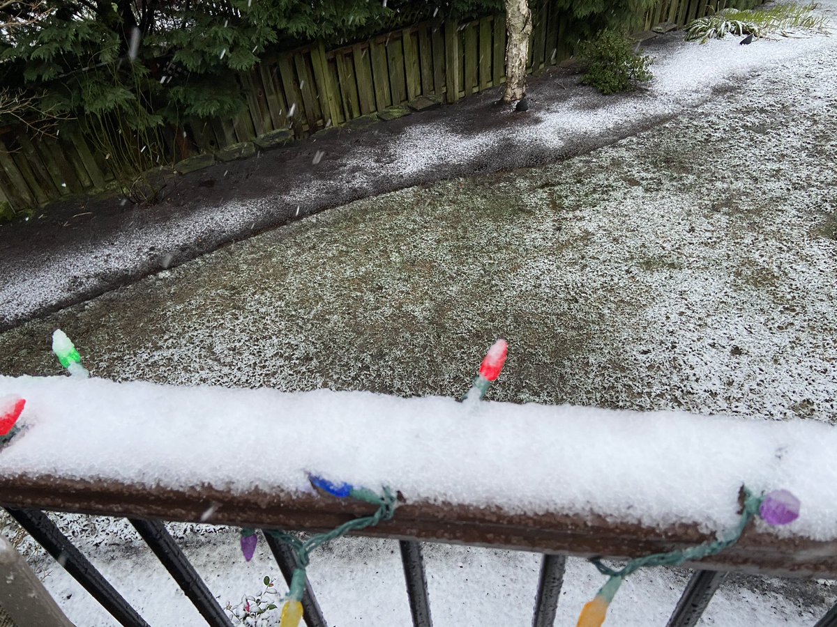 liannehy's tweet photo. Check out the difference 2hrs made!
#PQRobs #pdxtest @NWSPortland @WashCoScanner #CedarMill about 475 ft elevation 3/8” accum on table and railings https://t.co/Zf4pWaubEK