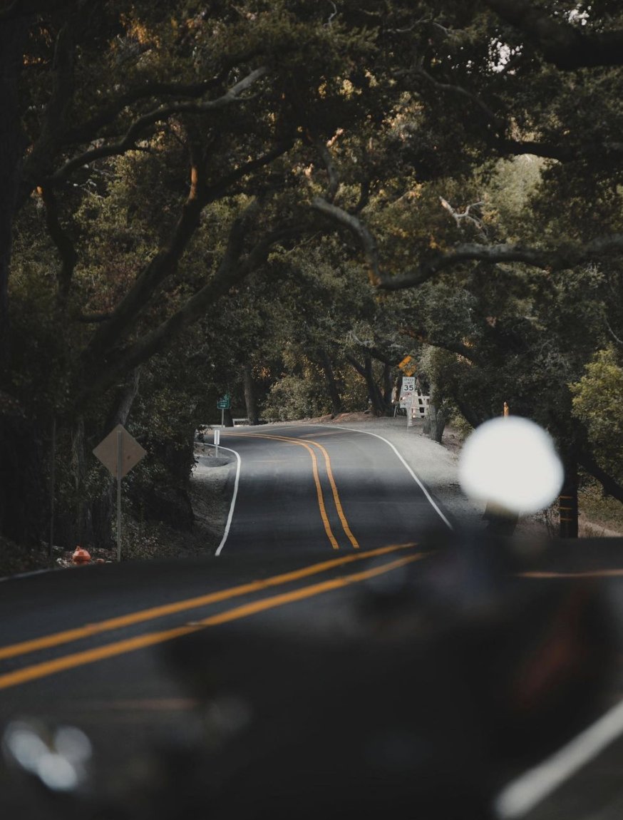 Pack Animal tweet media