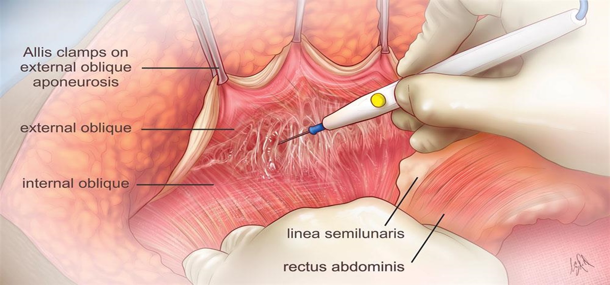 Plastic and Reconstructive Surgery tweet media