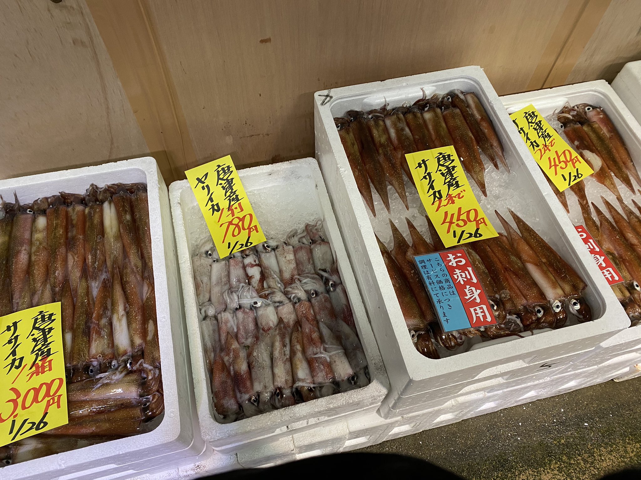 マリンセンターおさかな村 公式 続いてはイカシリーズです 本日はイカの種類が豊富に揃っております ササイカ ヤリイカ 水イカ 甲イカ スルメイカ アオリイカ 今夜はイカ料理いかがでしょうか おさかな村 ササイカ アオリイカ