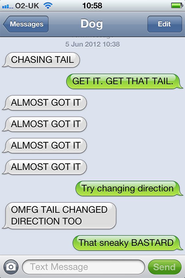 Dog texting with his human 