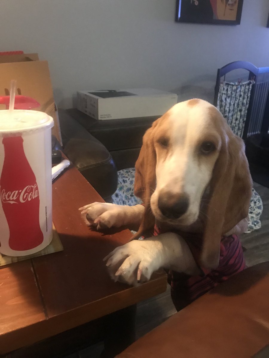 ⁦<a href="/CocaCola/">Coca-Cola</a>⁩ Poppy is practicing to be your next model and spokesperson.