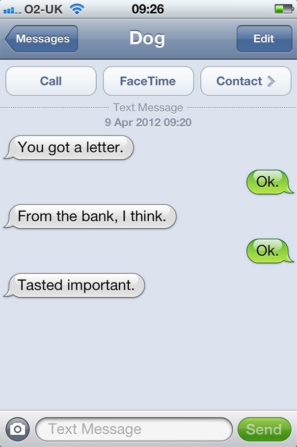 Dog texting with his human 