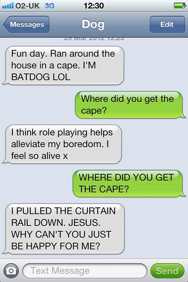 Dog texting with his human 