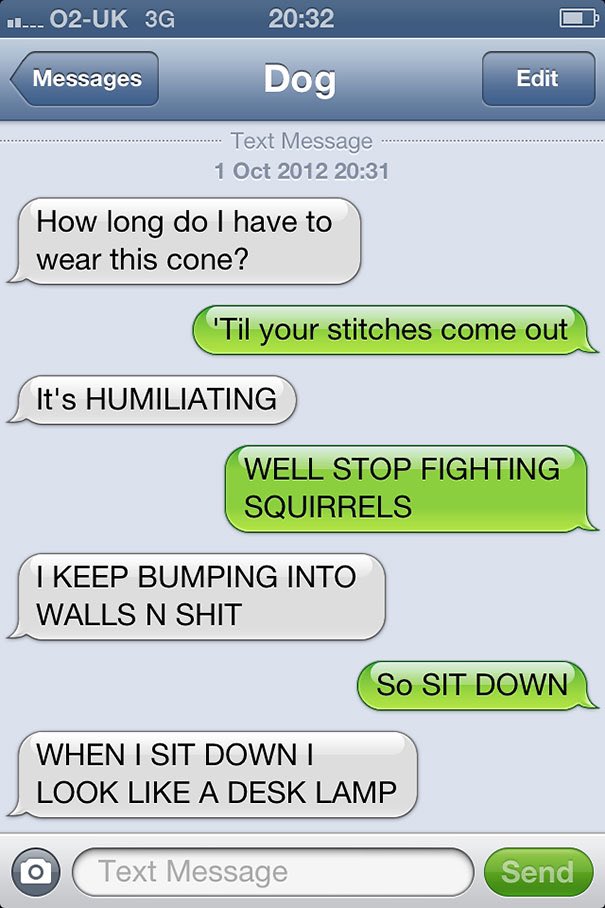 Dog texting with his human 