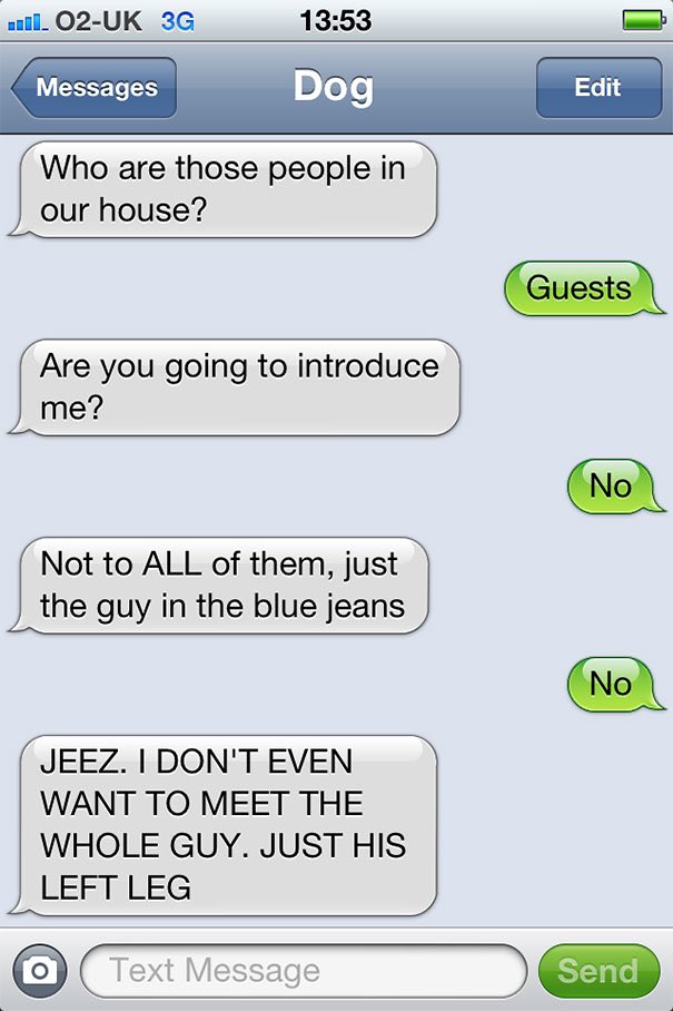 Dog texting with his human 