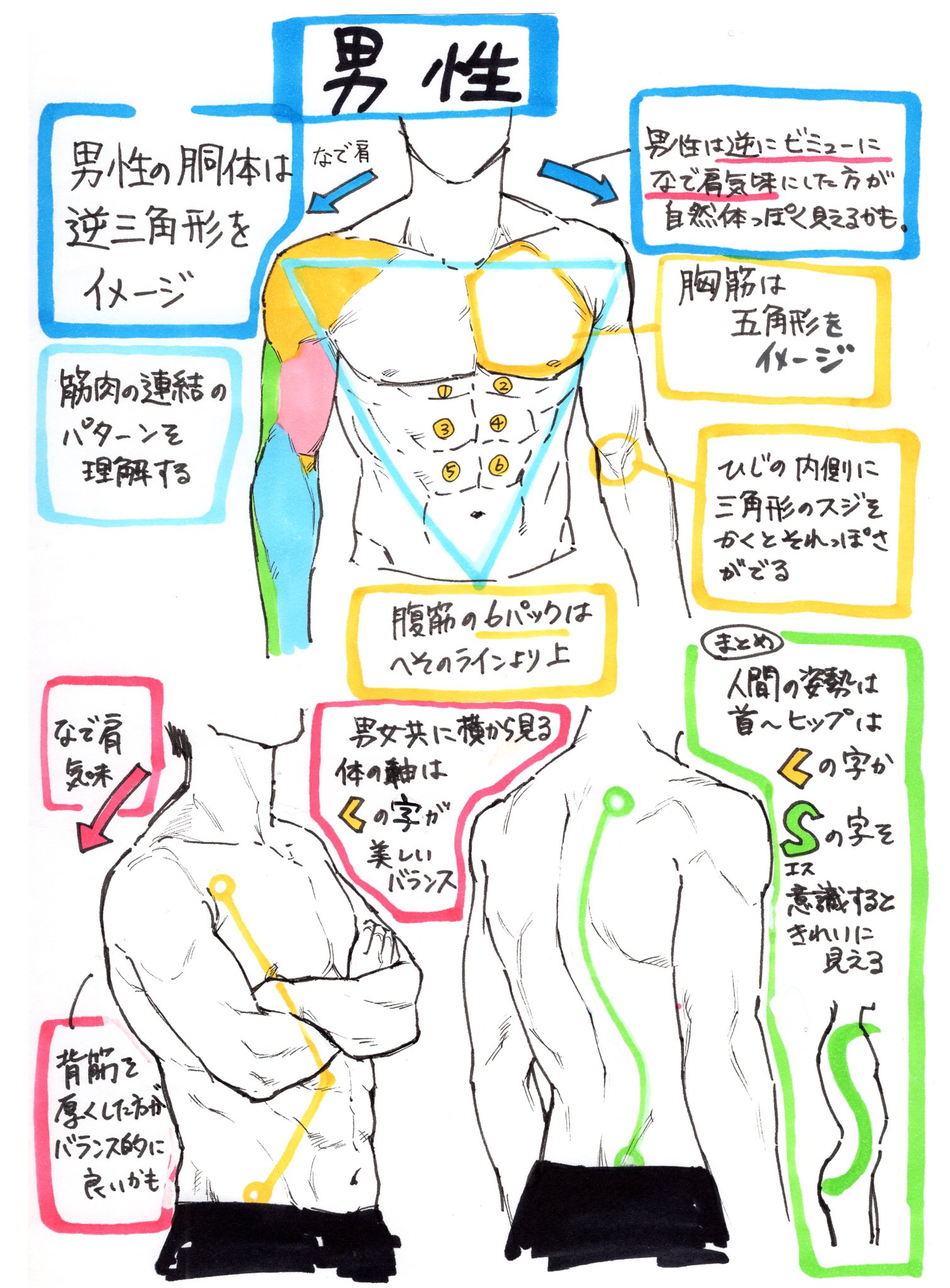 吉村拓也 イラスト講座 No Twitter 男性と女性の体デッサンの違い 柔らかな肌感と筋肉質な肌感 のコツ