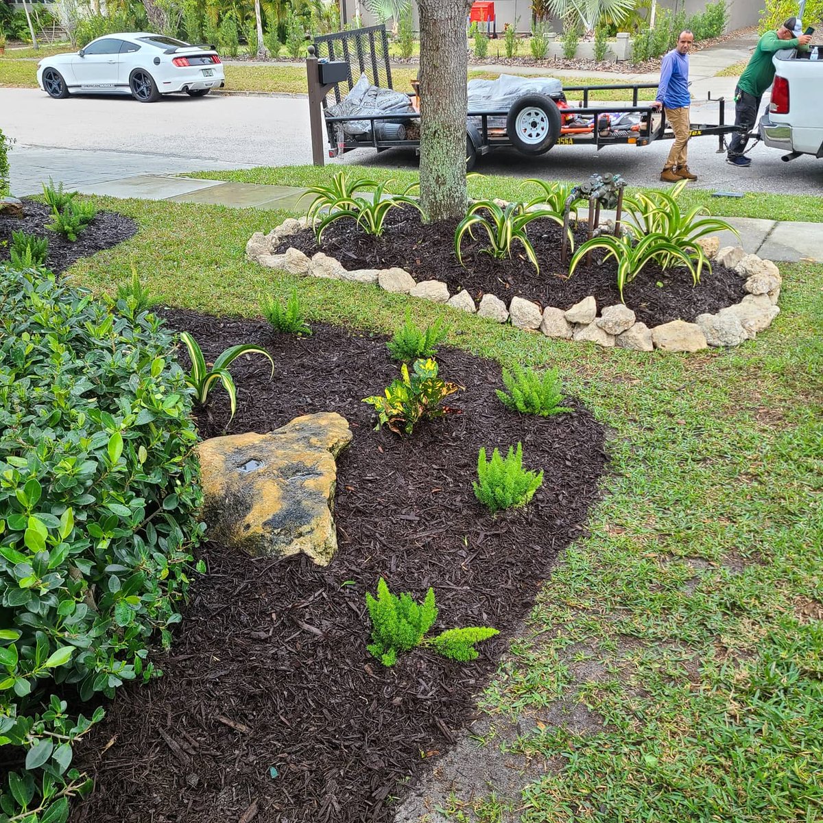 Another job well done by the crew today! If you are looking for landscaping services in the Sarasota area, give us a call! #sarasotafl #sarasotasmallbusiness #landscaping