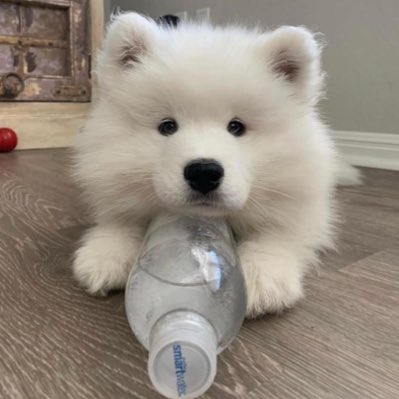 minminthings's tweet image. 