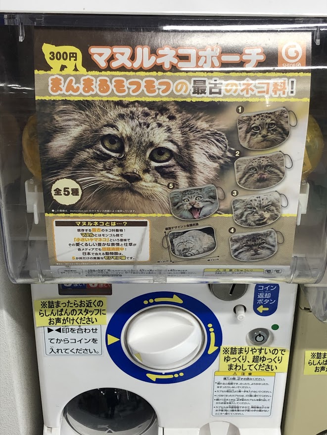 ট ইট র らしんばん横浜店 毎日11時 時まで営業中 らしんばん横浜店 ガチャガチャコーナーに マヌルネコポーチ と ぽめさんぽ 強風に立ち向かうポメラニアン の2種が入荷しました 鬼滅ガチャ ツイステガチャもありますよ 店頭入り口付近に