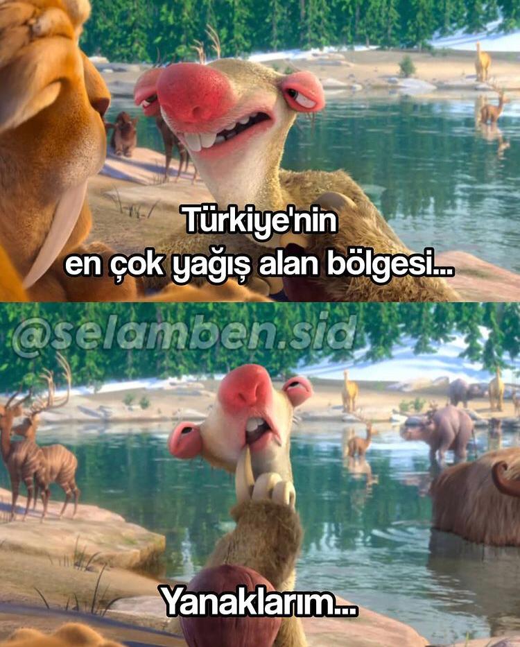 gizeem_h's tweet photo. Moodum budur; https://t.co/1e0x8X6Hs8