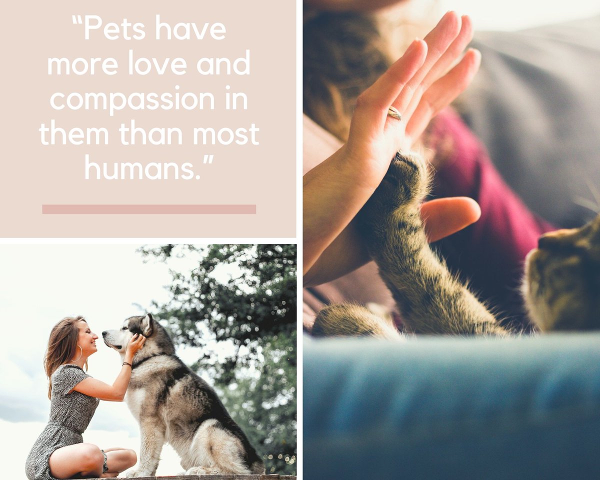 ChastitySantaC1's tweet photo. “There’s a saying. If you want #someone to # loves you forever, buy a #dog, feed it and keep it #around.”

#chastitysantaCroce #kids #skits #family #pets #puppies #familygoals #drama #familytime #Twitter #TwitterNatureCommunity #DailyShow #petsofinstagram #FamilyFunTime https://t.co/yH7u1BERSO