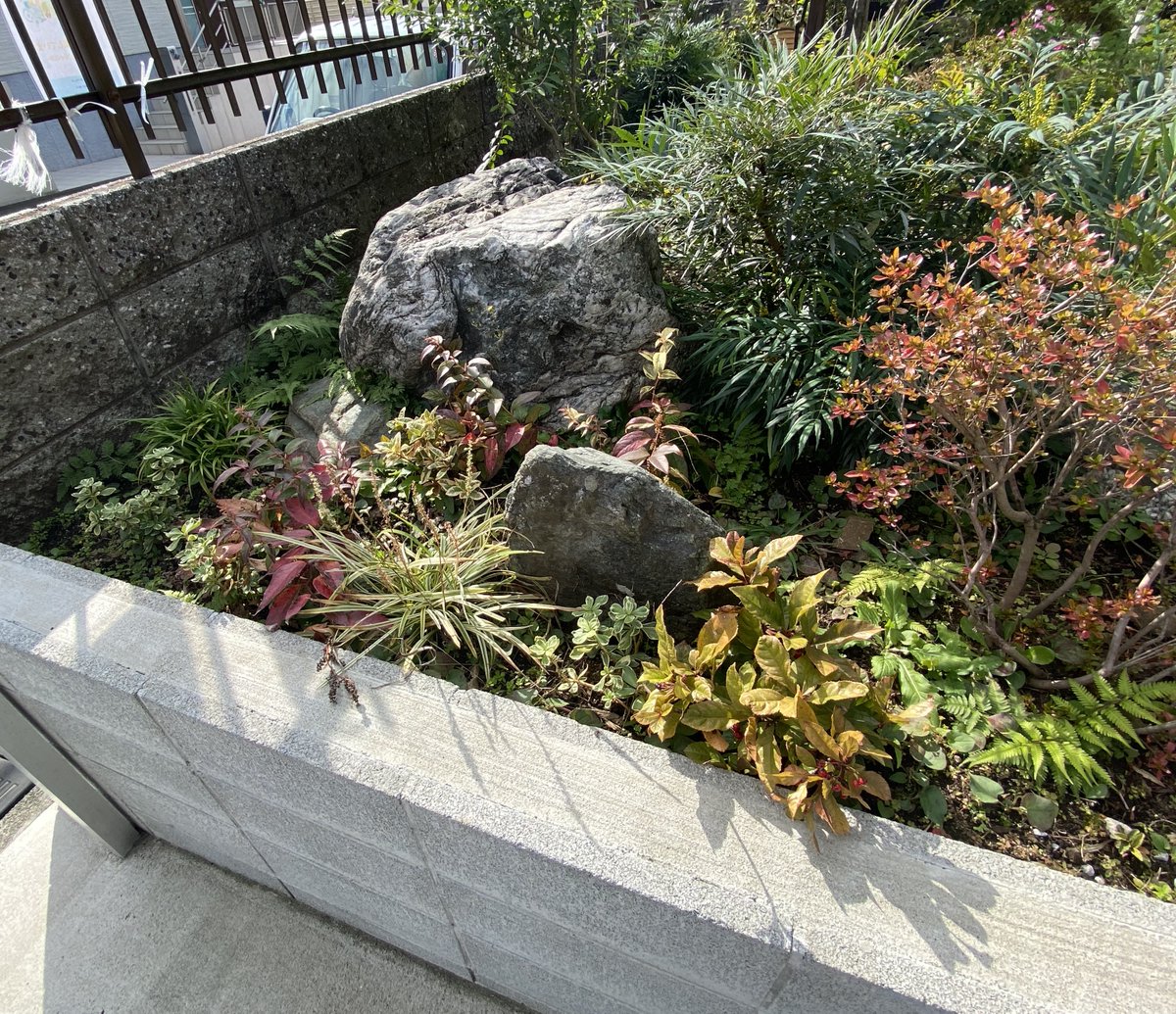 ザ スタイル ガーデンデザイン V Twitter よく 花壇に何を植えたらいい って聞かれます 季節のお花も良いですが 意外と手間がかかったり花の 時期が短いもの 写真のような葉っぱを楽しめる宿根草中心なら ほとんど手間いらずで寒い時期も楽しめますよ お