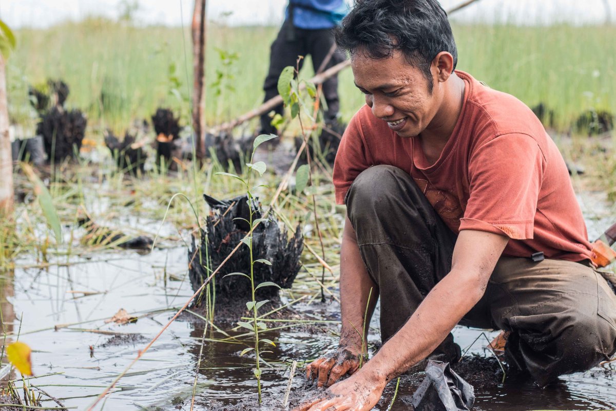 wef's tweet photo. 14 innovative projects helping to build a better world @WEFUpLink https://t.co/mnPTPN9nfB #DavosAgenda #Sustainability https://t.co/fjZ2aGRxs8