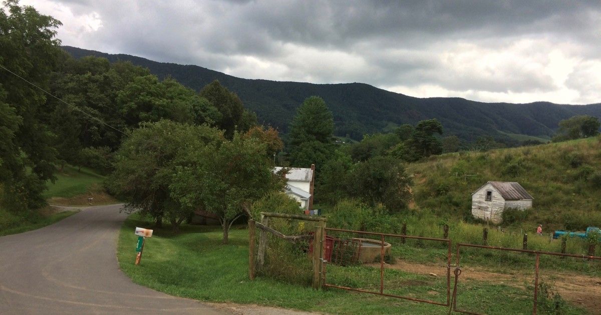InAppalachia's tweet photo. It’s almost time to start thinking about transparent apples. Yes, we are looking forward to spring.
#InsideAppalachia #RealAppalachia
https://t.co/DgDGS9LsML https://t.co/fuDtINfF2p