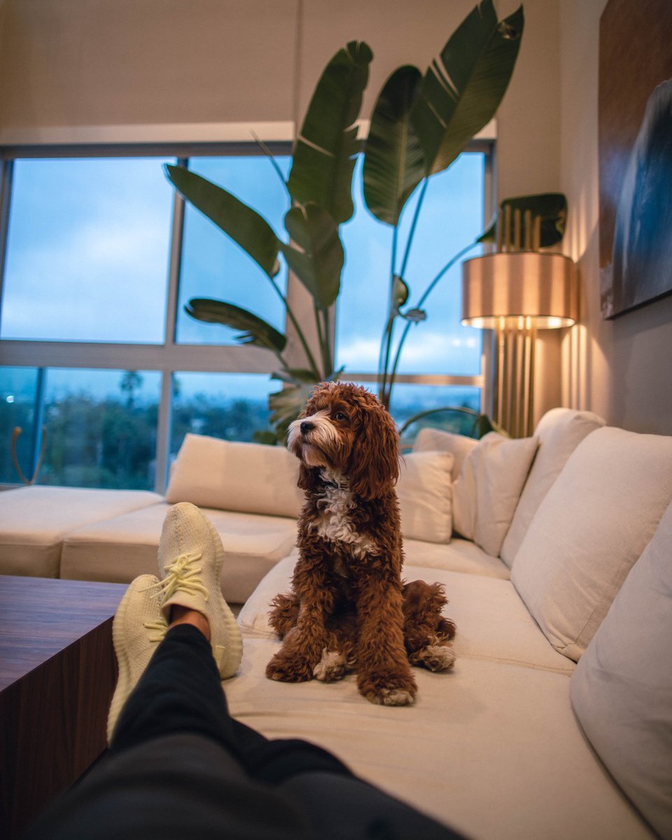 Heybor_App's tweet photo. What's your favorite way to relax after work?

#NYCRealEstate #NYC #RealEstate #Tech #Reviews #WorkFromHome https://t.co/2c6JNy1KZb