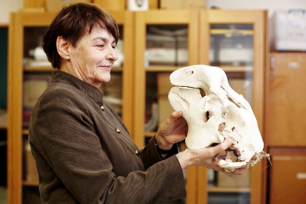 jcu's tweet photo. Congratulations to Emeritus Professor Helene Marsh AO! 
Helene was recognised in the 2021 Australia Day Honours List for distinguished service to the biological and environmental sciences, to the conservation of marine mammals, and to tertiary education. https://t.co/JHPoiSSW8B
