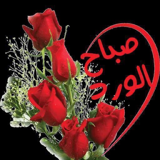 kuwaityaaa30's tweet photo. @QcQRZN905fc9yEH يارب امين صباحك الخير 🌺 https://t.co/KADhu0bw6Z