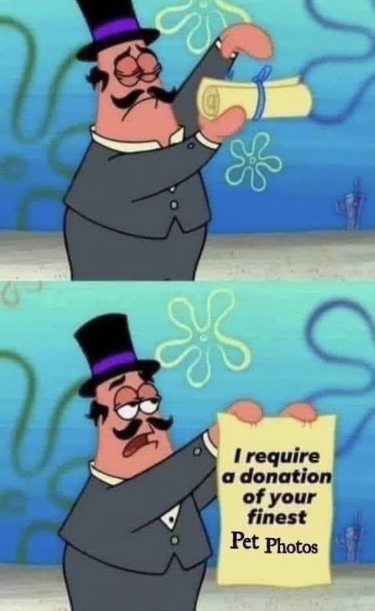 Respectful Memes tweet media