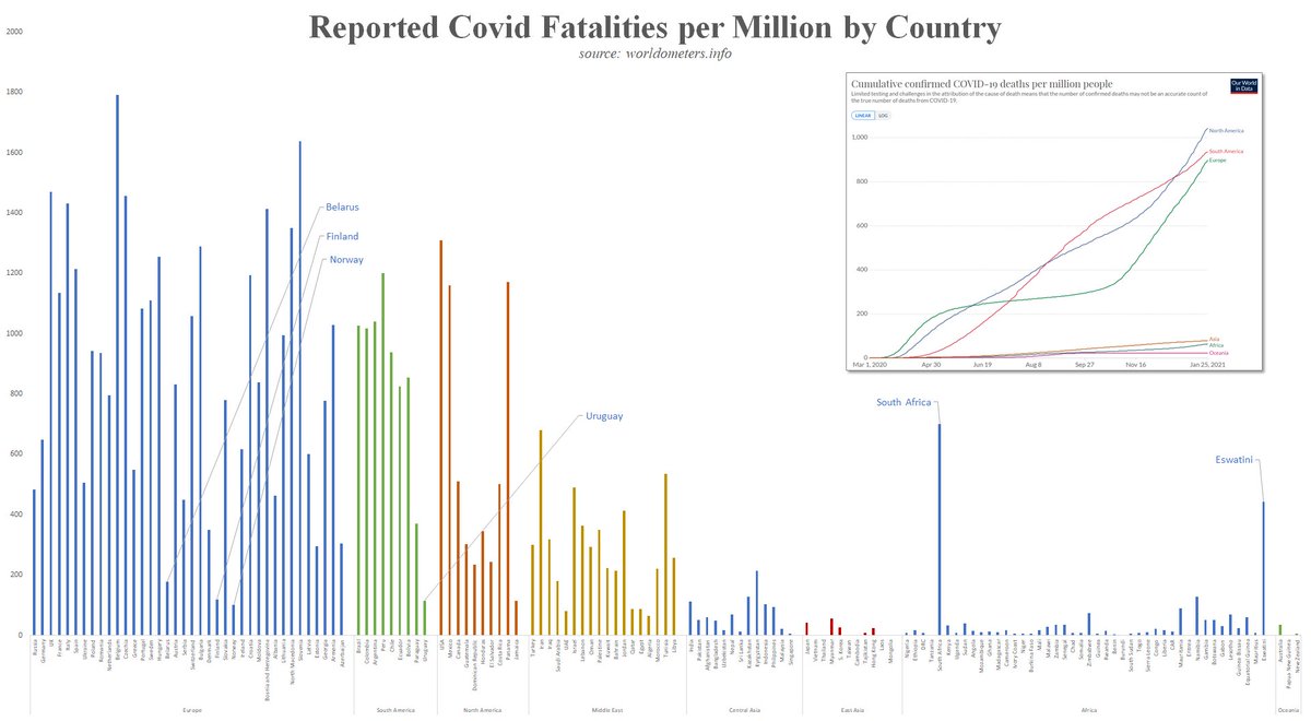 After one year, the preeminent characteristic of Covid-19 is the heterogenous impact with the nations of Europe and the Americas having at least 10X as many deaths as Asia, Africa, and Oceania with only a handful of nations escaping their regional patterns: